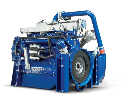 Biogas stationary TEDOM engines